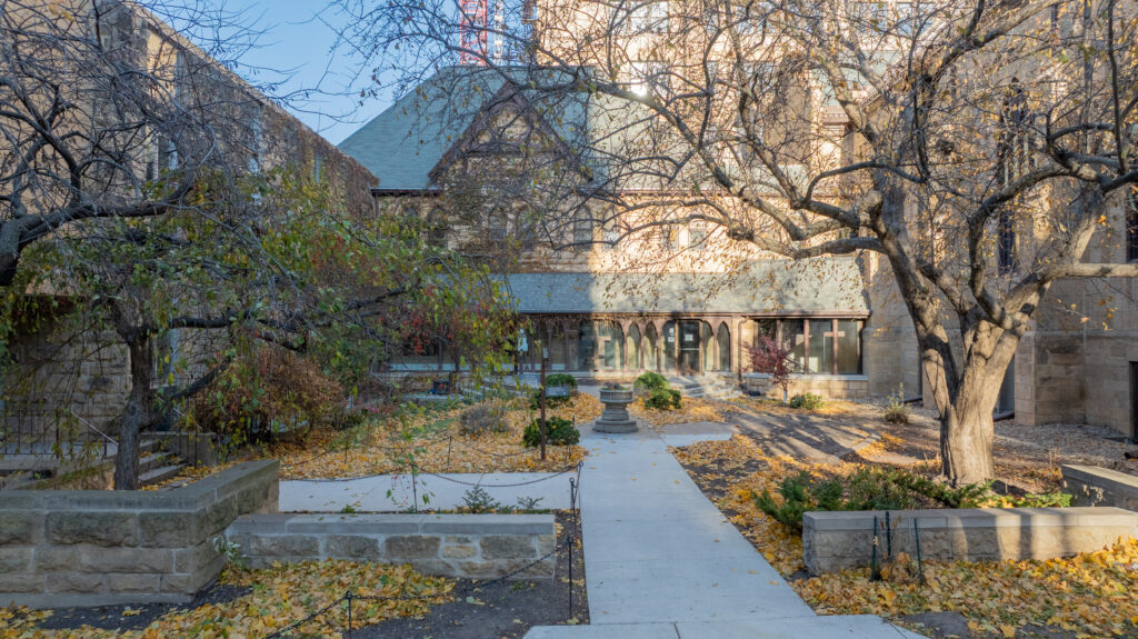 3 Roof_Court yard